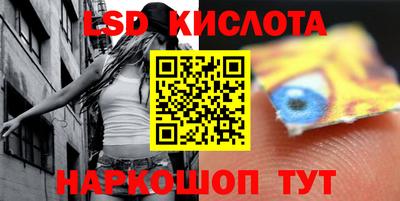 шишки Изобильный