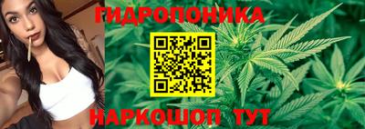 тгк Ипатово