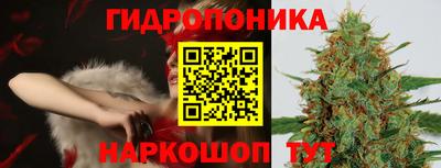 шишки Изобильный