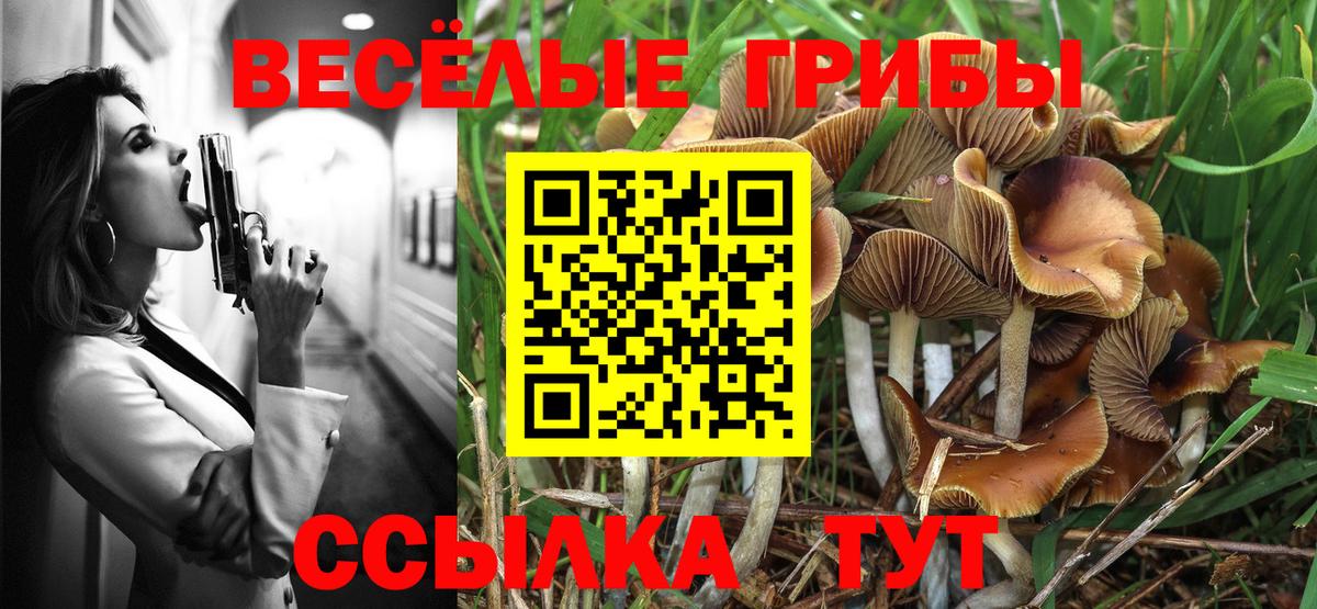 Луга  Псилоцибиновые грибы мицелий  Псилоцибиновые грибы MAGIC MUSHROOMS  Вход с VPN 