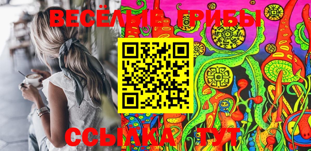 Псилоцибиновые грибы Cubensis Луга